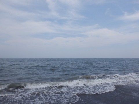 odron6cgc2idmpdx6586_480_480-a3d4be05.jpg