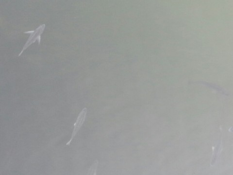 oe2mzfi7vmzy858fzojh_920_690-d6622c0b.jpg