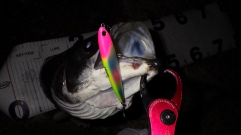 oe2yd56r5tkpyzisgkne_480_270-599c8db0.jpg