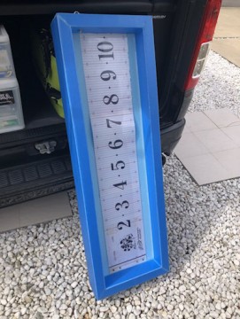 oeb9tjtvhc9ixt22gk3o_361_480-b7dc8c1e.jpg