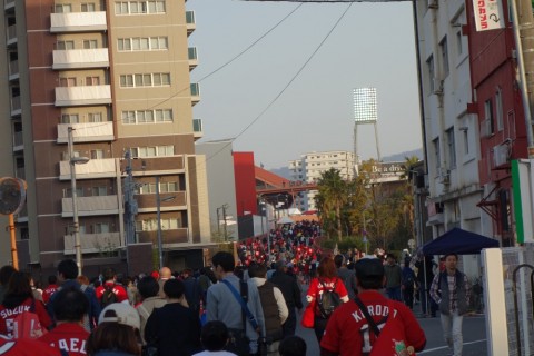 oefo87vreurfvj676y5n_480_480-14c56957.jpg