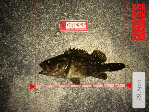 oephrtrorwbh9bt7badx_480_480-30e94619.jpg
