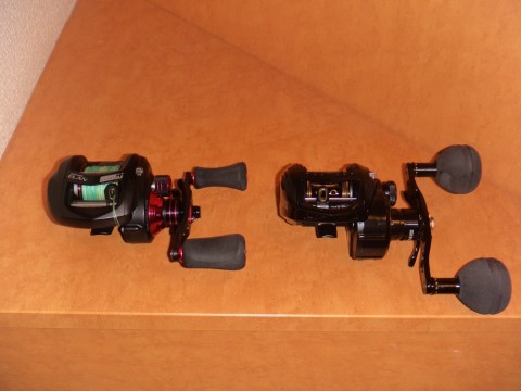 oerydsbxgauwc9jc5vy3_480_480-939243e2.jpg