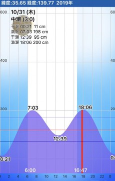 oeya464eo98dxe3yjdrw_307_480-896b531b.jpg