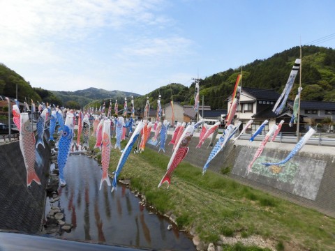 of6gguoidpbow3hzdkro_480_480-5c8b9bc9.jpg