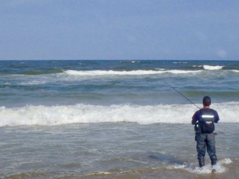 of7j3byna7bbkfpvzy7b_480_360-11023fdf.jpg