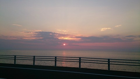 of8pnt6u7fhdzboak3n6_480_480-e48072f1.jpg