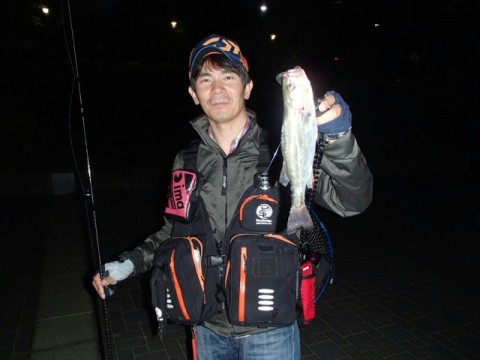 ofcko9pu72s4m35cvvfn_640_480-b006c261.jpg