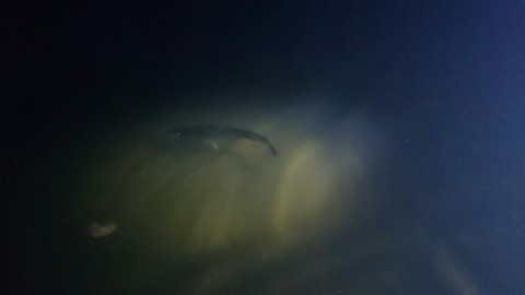 ofd3augnjo8pmpo275bb_920_518-10b4ec6e.jpg