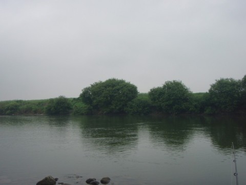 ofe6t69fsxb9puhjgjta_480_480-96d055dd.jpg