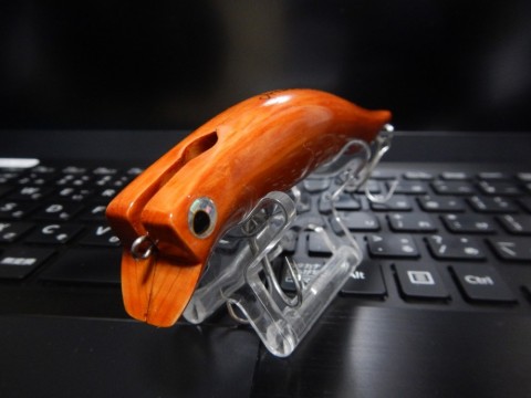 ofe7o6nrxk38tf8yv8nm_480_480-feeea47f.jpg