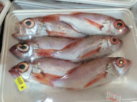 ofehei6xz6fabfyj46k7_920_690-4f06717b.jpg