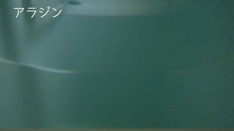 ofjdbt78uurp58c68237-e472f75a.gif