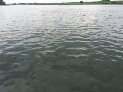 ofmdsscjacje93ofpoy5_480_480-046d12ee.jpg