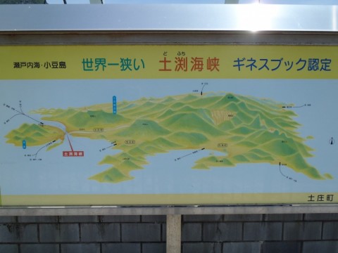 ofuzi96r5hptxh4evtnh_480_480-3c907e8a.jpg