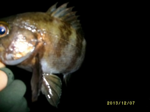 ogc3okot7u9wkercjyxp_480_480-f7259fb3.jpg