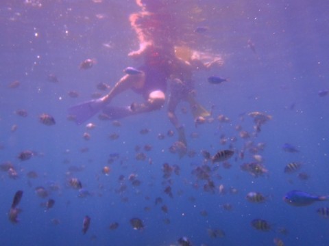ogi78feohzewuw6egve5_480_480-b0e3e4fb.jpg