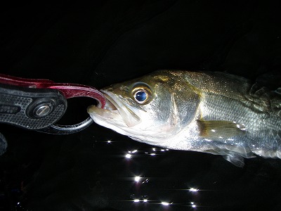 ogn8ukatwk9xuim8ogse-d2b48286.jpg