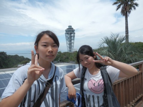 ohf66ib22hy48c7ar5ir_480_480-b9a237f8.jpg