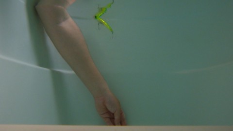 ohncbxktigxkv87ytv26_480_480-3e69f2d3.jpg