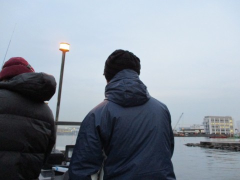 ohraoevwhbv95i23imcc_480_480-fe56029f.jpg