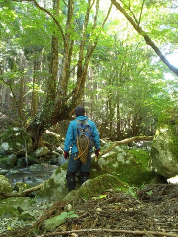 ohuo8b9m3ixga5umubem_480_480-29d60643.jpg