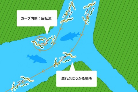 カーブの内外・反転流