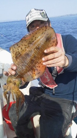 oid5ysyvtzdbhy3e7mzd_480_480-24ad0635.jpg