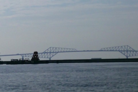 oim9t4xekob8tbir6km8_480_480-b8867019.jpg