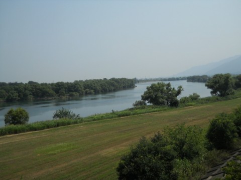 oiuwfkkdcjrc7d995kr4_480_480-602afe4a.jpg