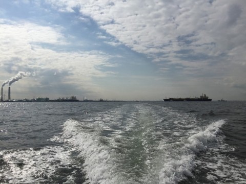 oixsbeaxdkcoxr7arwn2_480_480-79e9e9b2.jpg