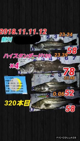 oj6urkjffu9xz3actad2_480_480-b01e8b30.jpg