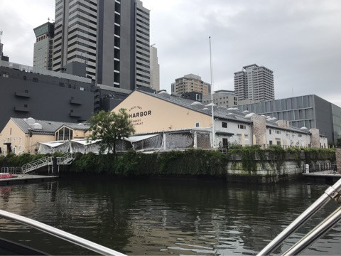TYハーバー