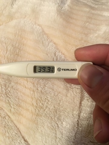 ojg68gn3e3d4zcdfwecd_690_920-32e009e0.jpg