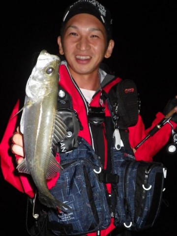 ojg8hbk272k63fvajn58_480_480-9cd2865a.jpg