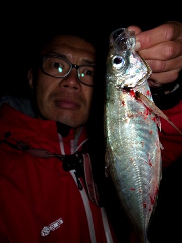 ojihfy9pmct8y39uni64_480_480-0aef2042.jpg