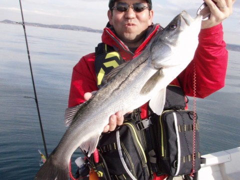 ojiv7hhw4jsfs6nhthdr_480_480-6844db33.jpg