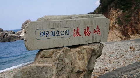 ojuvfht7523g5j7f4nbx_480_480-45c3731e.jpg