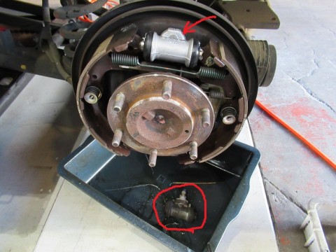 ojyz5hmn8w7mjmgo6cci_480_480-849005e1.jpg