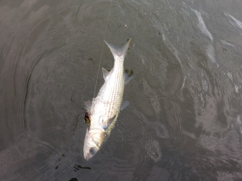 okacxo462jket88t4ecb_920_690-732f55d8.jpg