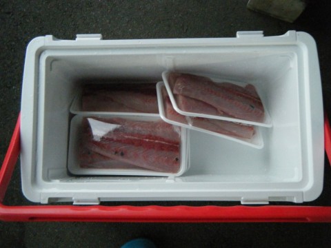 okdehnwhve8dkapdotmo_480_480-667189cc.jpg