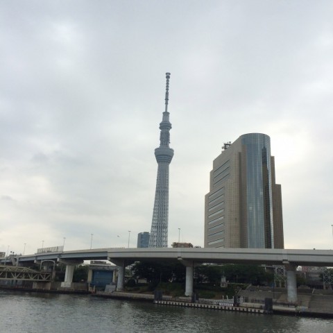 oke8fp5tytwfvyf2gtkt_480_480-4962bd33.jpg