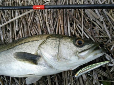 okg43vz25oms63f8mk6g_920_690-24192a05.jpg