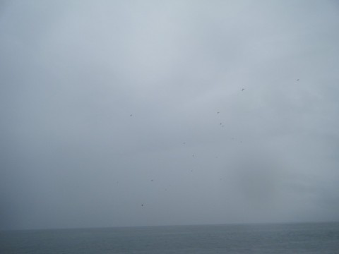 okkt7ur6bp5az7dbdxsv_480_480-a7b8c4bc.jpg