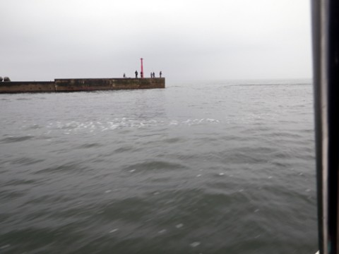 okof4met53fmcndeecsy_480_480-353b7026.jpg
