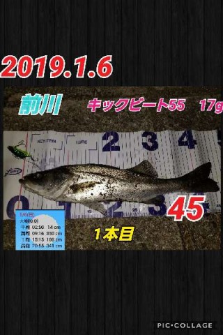 okvoe62pt9hgpwkzkjbr_480_480-4b87eba2.jpg