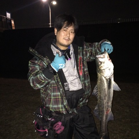 om4firs3jtggu9esp3m5_920_920-fbd3237f.jpg