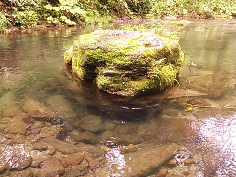 om7kajzyihdngoi9re4w_640_480-6734233b.jpg