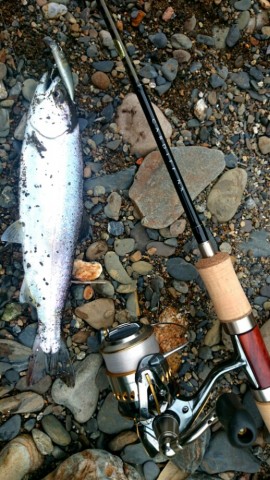 夢の中もSalt Fishing 】 カーディフnx