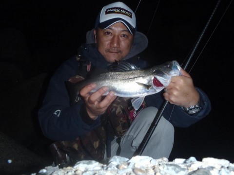omh7dzp986h82s4w6jgu_480_480-9f771b9e.jpg